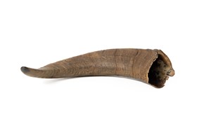 Image description is not available for 2011.55.1